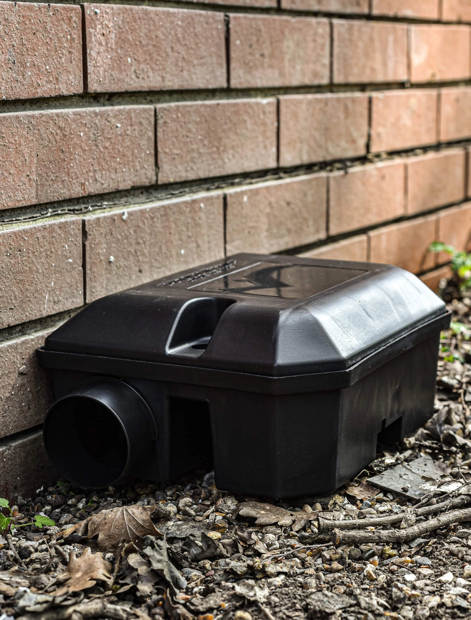 Rat Removal Device