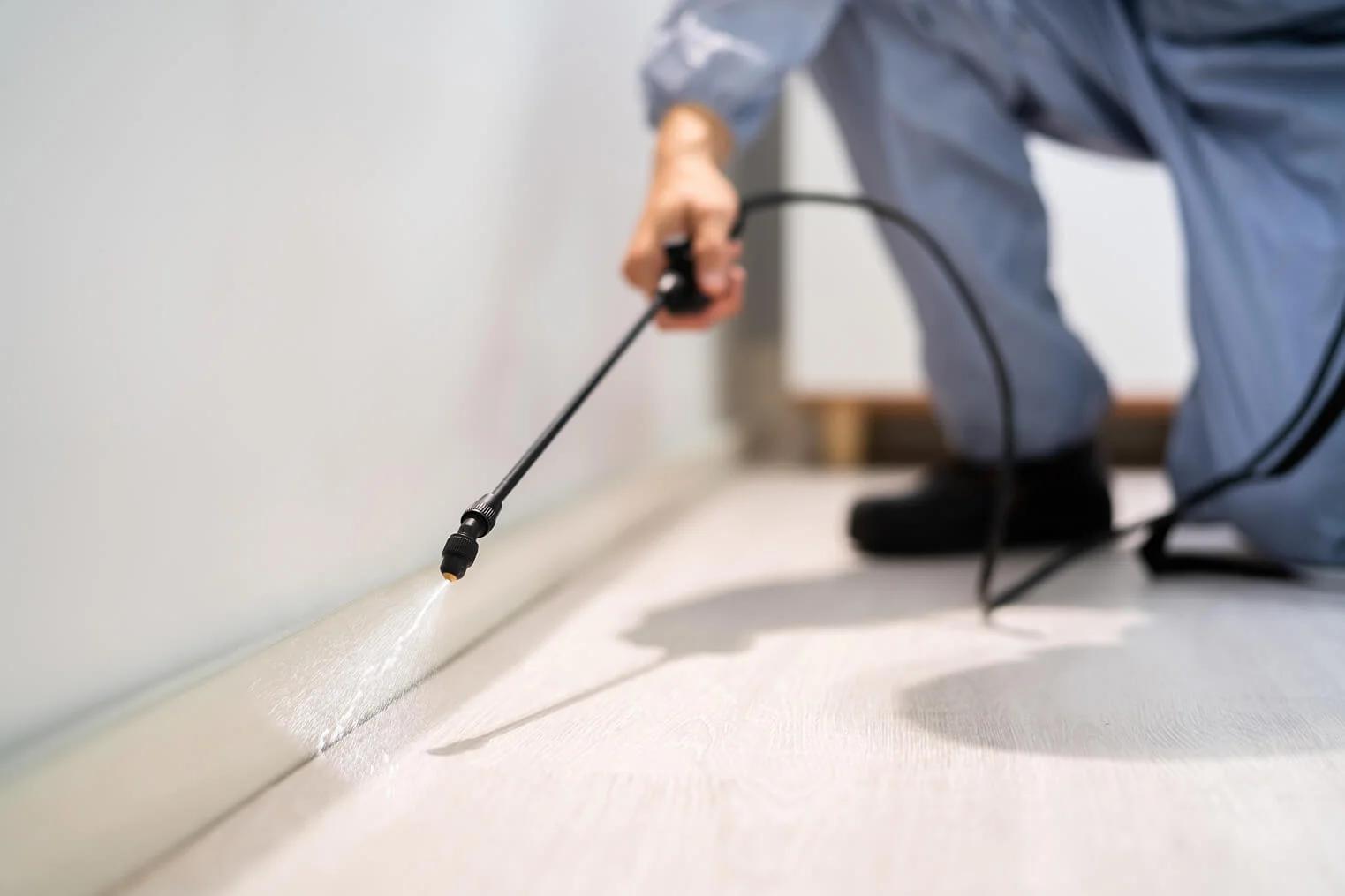 Ransford Pest Control spraying in a home