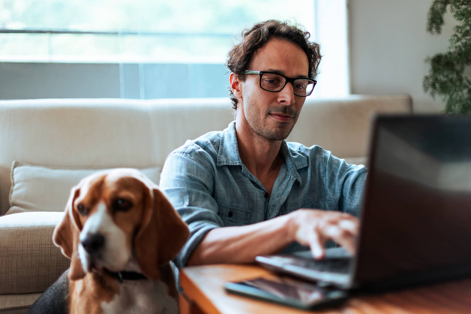 Person on computer with a pet dog