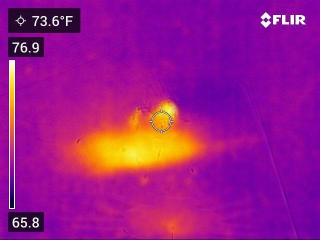 Wasp void nest exterior access point