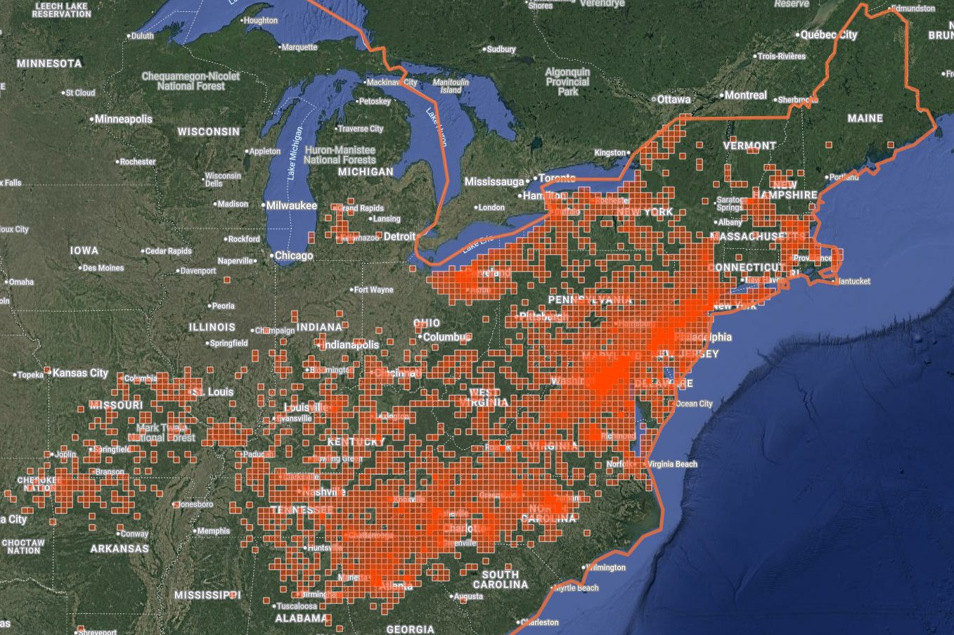 iNaturalist observations map of European hornets